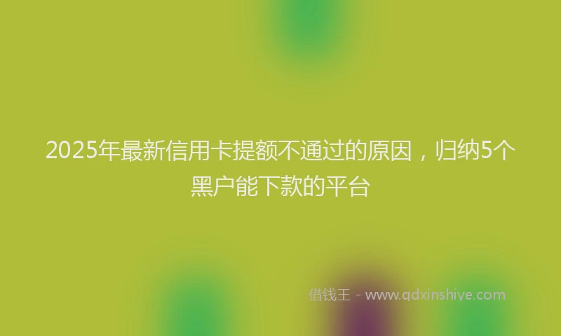 2025年最新信用卡提额不通过的原因，归纳5个黑户能下款的平台