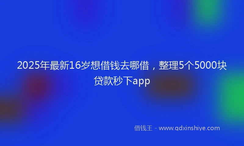 2025年最新16岁想借钱去哪借，整理5个5000块贷款秒下app