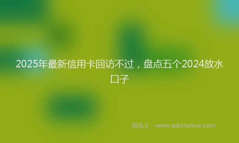 2025年最新信用卡回访不过，盘点五个2024放水口子