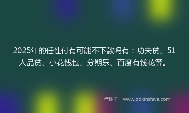 2025年的任性付有可能不下款吗有：功夫贷、51人品贷、小花钱包、分期乐、百度有钱花等。