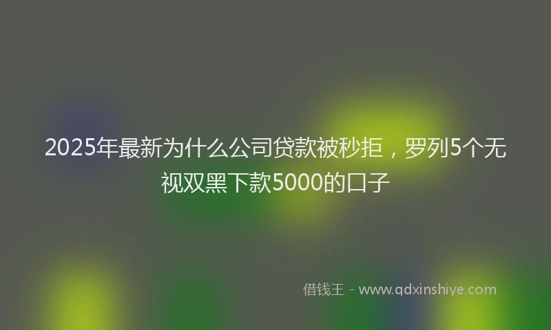 2025年最新为什么公司贷款被秒拒，罗列5个无视双黑下款5000的口子