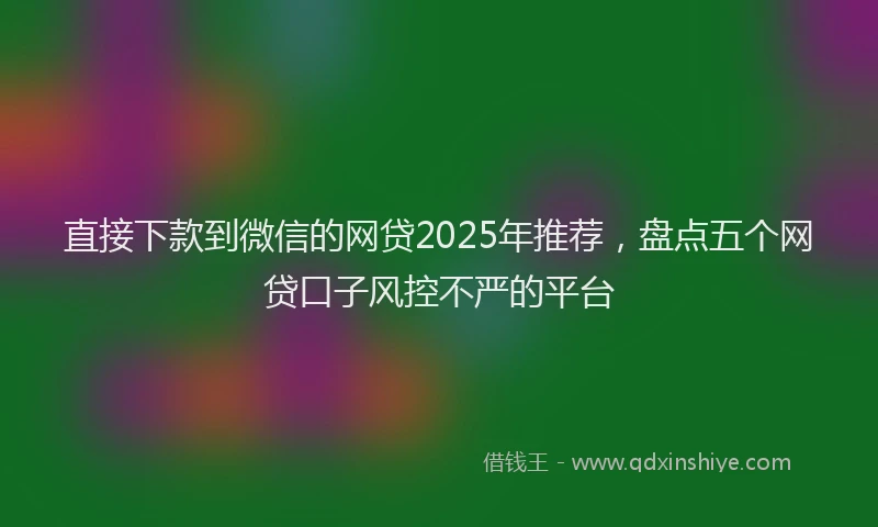 直接下款到微信的网贷2025年推荐，盘点五个网贷口子风控不严的平台