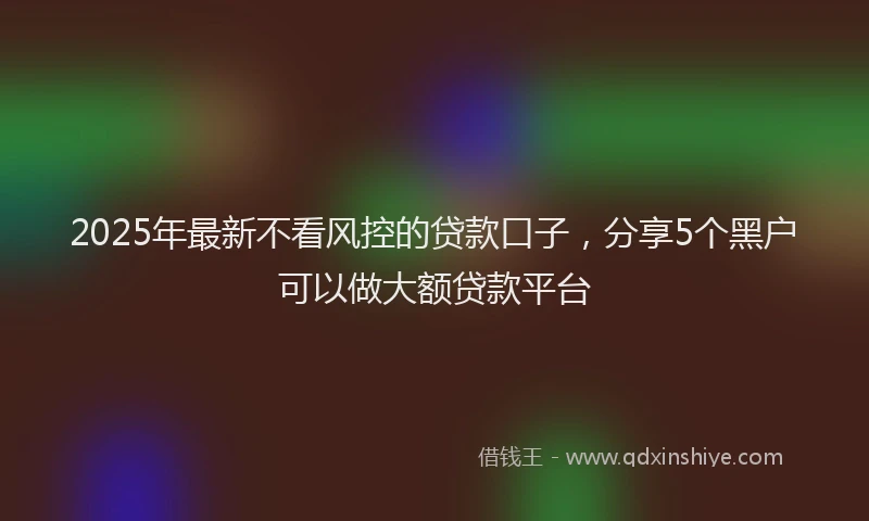 2025年最新不看风控的贷款口子，分享5个黑户可以做大额贷款平台