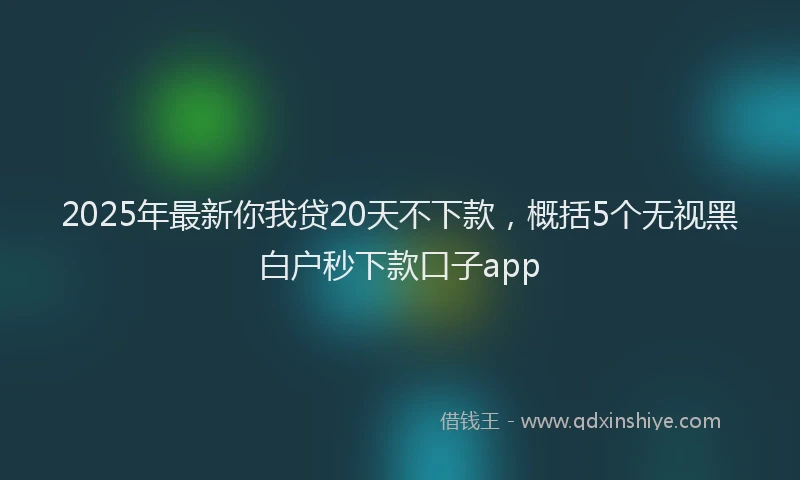 2025年最新你我贷20天不下款，概括5个无视黑白户秒下款口子app