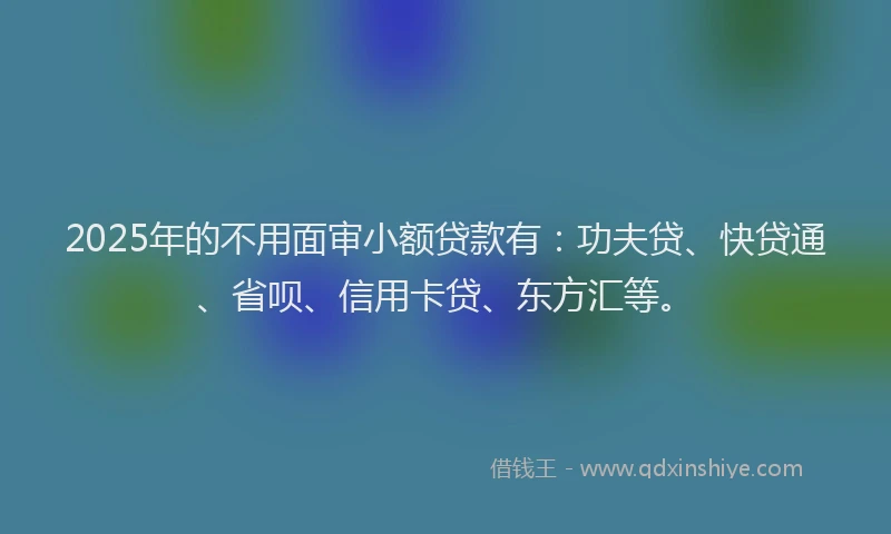 2025年的不用面审小额贷款有：功夫贷、快贷通、省呗、信用卡贷、东方汇等。