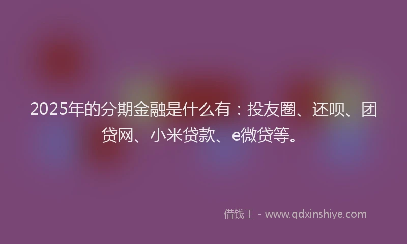 2025年的分期金融是什么有：投友圈、还呗、团贷网、小米贷款、e微贷等。
