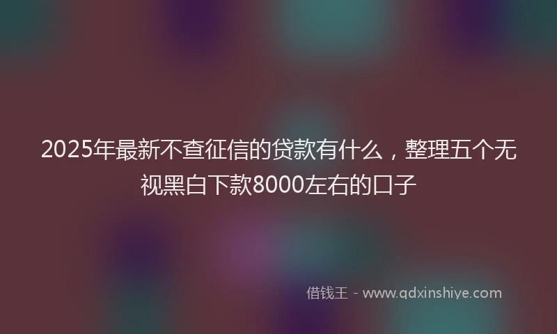 2025年最新不查征信的贷款有什么，整理五个无视黑白下款8000左右的口子