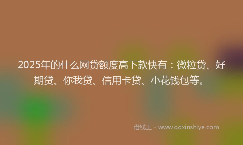 2025年的什么网贷额度高下款快有：微粒贷、好期贷、你我贷、信用卡贷、小花钱包等。