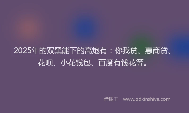 2025年的双黑能下的高炮有：你我贷、惠商贷、花呗、小花钱包、百度有钱花等。