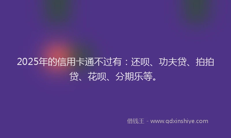 2025年的信用卡通不过有：还呗、功夫贷、拍拍贷、花呗、分期乐等。