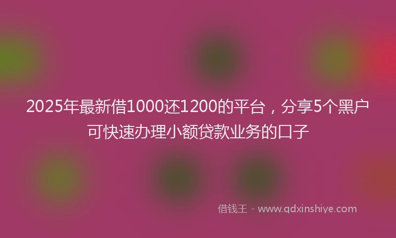 2025年最新借1000还1200的平台，分享5个黑户可快速办理小额贷款业务的口子