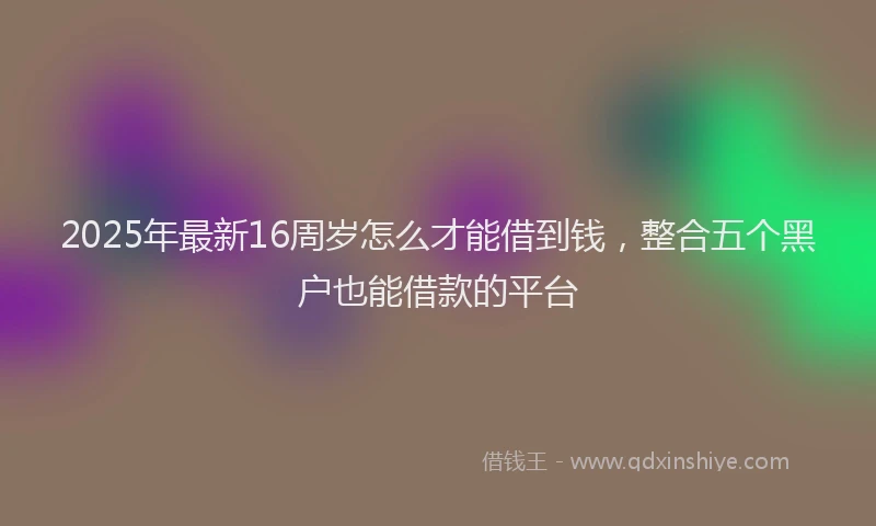 2025年最新16周岁怎么才能借到钱，整合五个黑户也能借款的平台