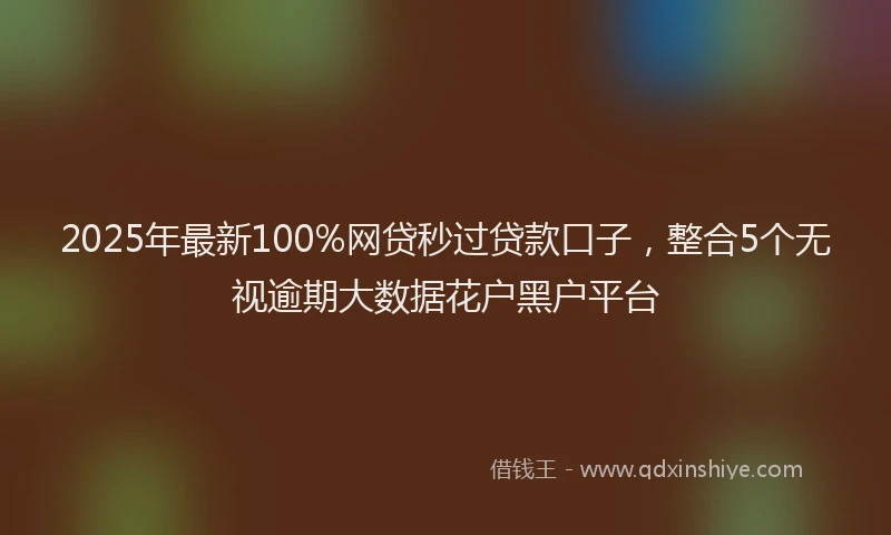 2025年最新100%网贷秒过贷款口子，整合5个无视逾期大数据花户黑户平台