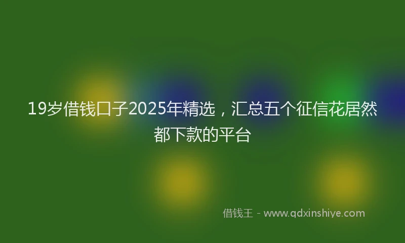 19岁借钱口子2025年精选，汇总五个征信花居然都下款的平台