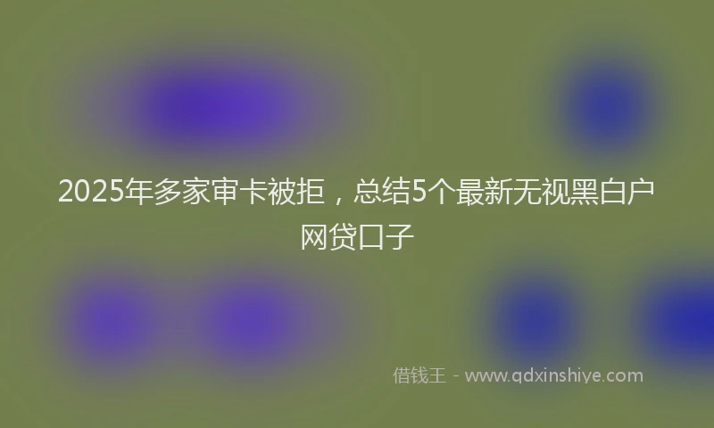 2025年多家审卡被拒，总结5个最新无视黑白户网贷口子