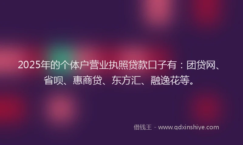 2025年的个体户营业执照贷款口子有：团贷网、省呗、惠商贷、东方汇、融逸花等。