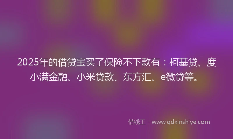 2025年的借贷宝买了保险不下款有：柯基贷、度小满金融、小米贷款、东方汇、e微贷等。