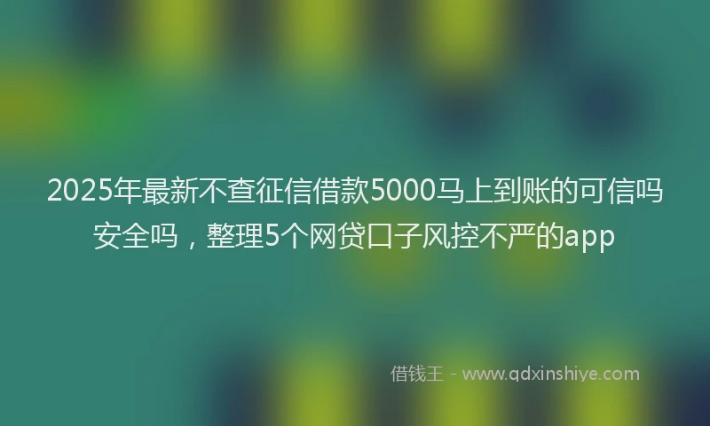 2025年最新不查征信借款5000马上到账的可信吗安全吗，整理5个网贷口子风控不严的app