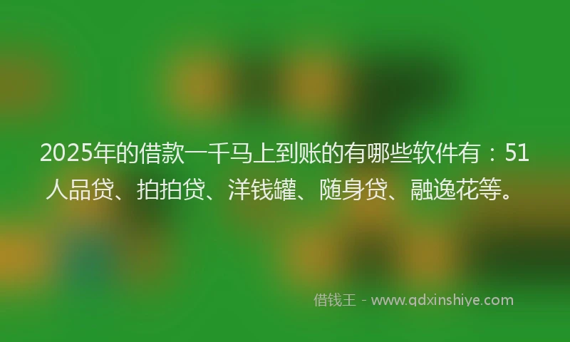 2025年的借款一千马上到账的有哪些软件有：51人品贷、拍拍贷、洋钱罐、随身贷、融逸花等。