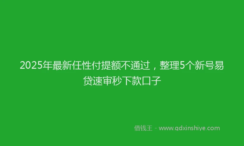 2025年最新任性付提额不通过，整理5个新号易贷速审秒下款口子
