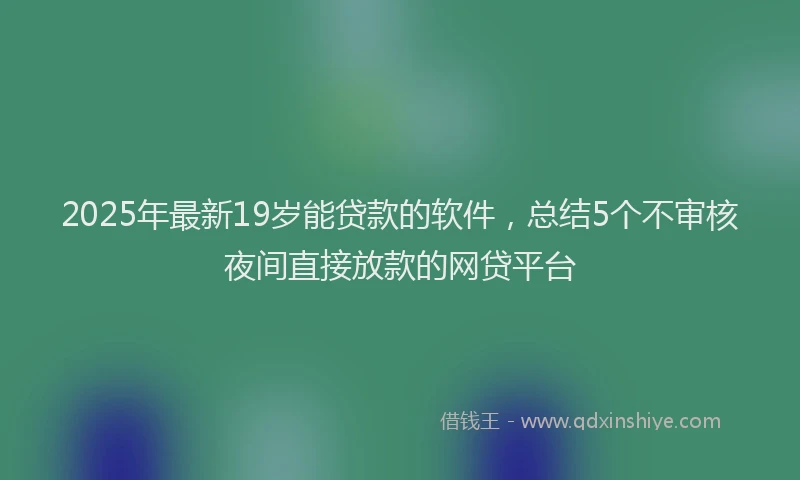 2025年最新19岁能贷款的软件，总结5个不审核夜间直接放款的网贷平台