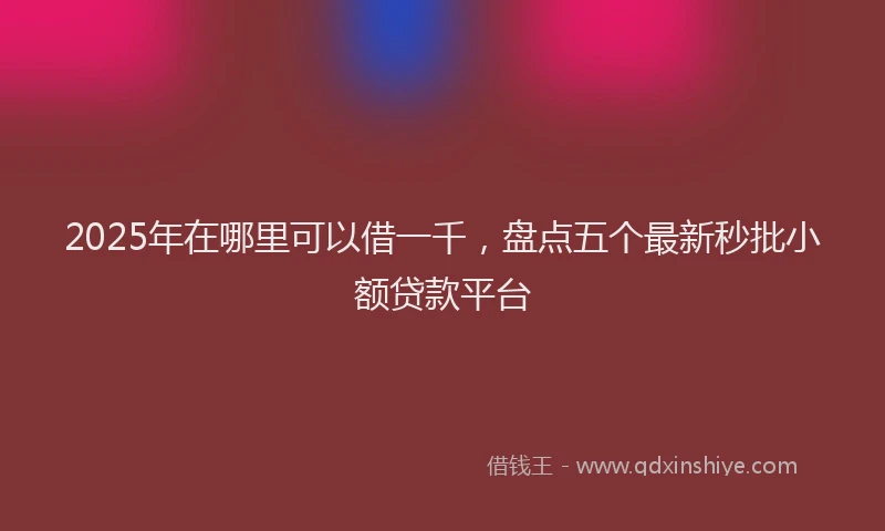 2025年在哪里可以借一千，盘点五个最新秒批小额贷款平台