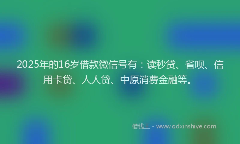 2025年的16岁借款微信号有：读秒贷、省呗、信用卡贷、人人贷、中原消费金融等。