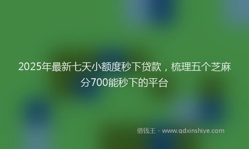 2025年最新七天小额度秒下贷款，梳理五个芝麻分700能秒下的平台