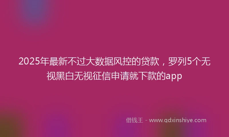 2025年最新不过大数据风控的贷款，罗列5个无视黑白无视征信申请就下款的app