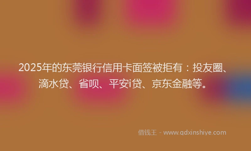 2025年的东莞银行信用卡面签被拒有：投友圈、滴水贷、省呗、平安i贷、京东金融等。