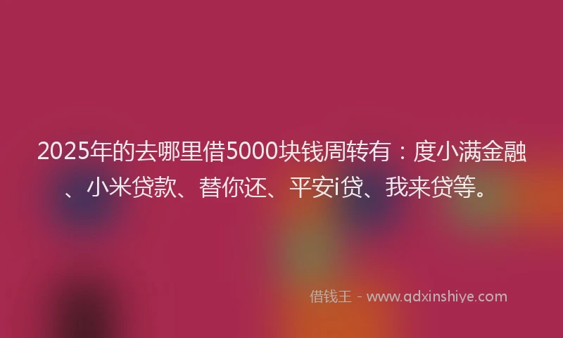 2025年的去哪里借5000块钱周转有：度小满金融、小米贷款、替你还、平安i贷、我来贷等。