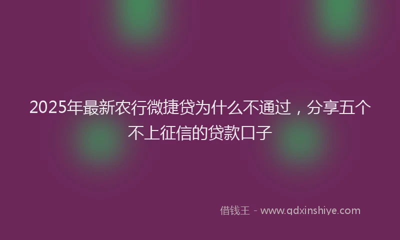 2025年最新农行微捷贷为什么不通过，分享五个不上征信的贷款口子