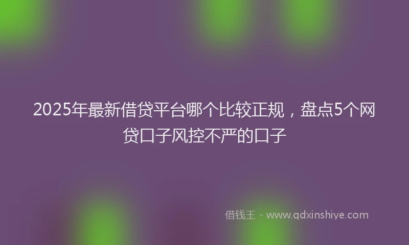 2025年最新借贷平台哪个比较正规，盘点5个网贷口子风控不严的口子
