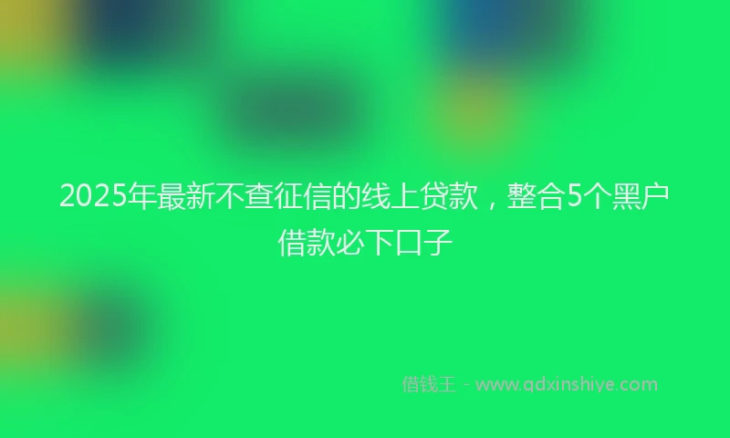 2025年最新不查征信的线上贷款，整合5个黑户借款必下口子