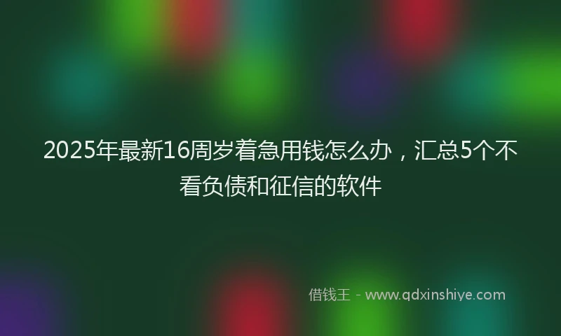 2025年最新16周岁着急用钱怎么办，汇总5个不看负债和征信的软件