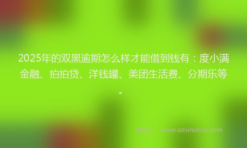 2025年的双黑逾期怎么样才能借到钱有：度小满金融、拍拍贷、洋钱罐、美团生活费、分期乐等。