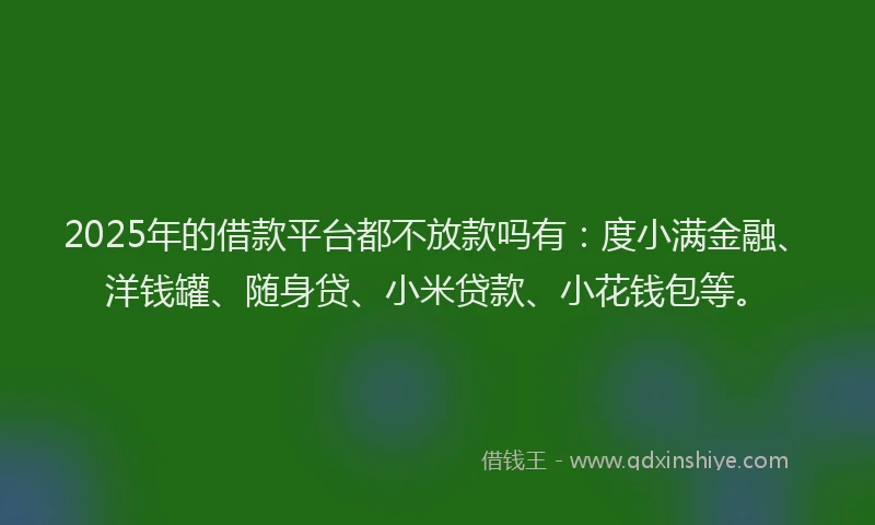 2025年的借款平台都不放款吗有：度小满金融、洋钱罐、随身贷、小米贷款、小花钱包等。