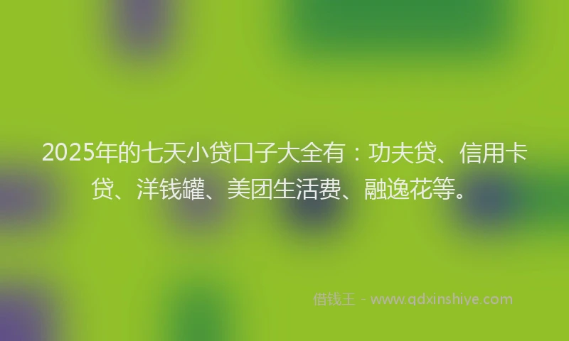 2025年的七天小贷口子大全有：功夫贷、信用卡贷、洋钱罐、美团生活费、融逸花等。