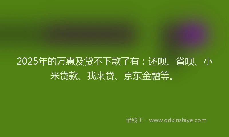 2025年的万惠及贷不下款了有：还呗、省呗、小米贷款、我来贷、京东金融等。