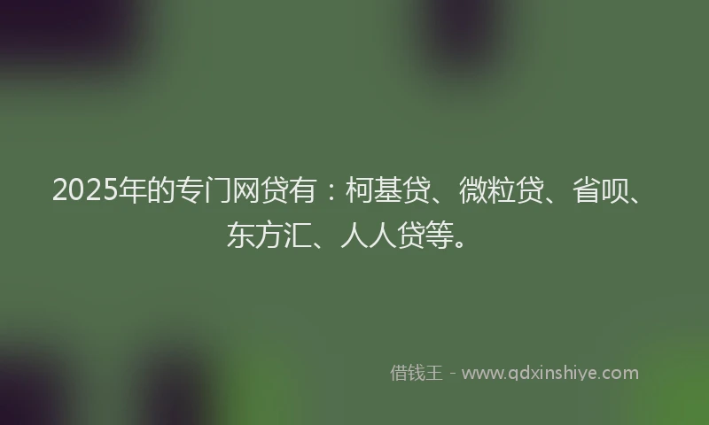 2025年的专门网贷有：柯基贷、微粒贷、省呗、东方汇、人人贷等。