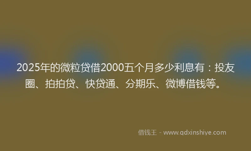 2025年的微粒贷借2000五个月多少利息有：投友圈、拍拍贷、快贷通、分期乐、微博借钱等。