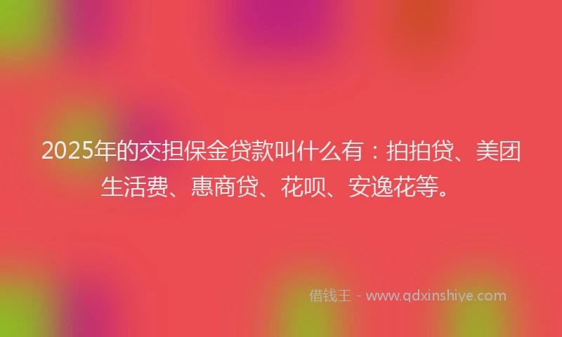 2025年的交担保金贷款叫什么有：拍拍贷、美团生活费、惠商贷、花呗、安逸花等。