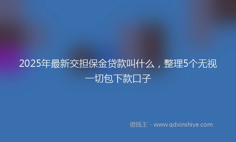 2025年最新交担保金贷款叫什么，整理5个无视一切包下款口子