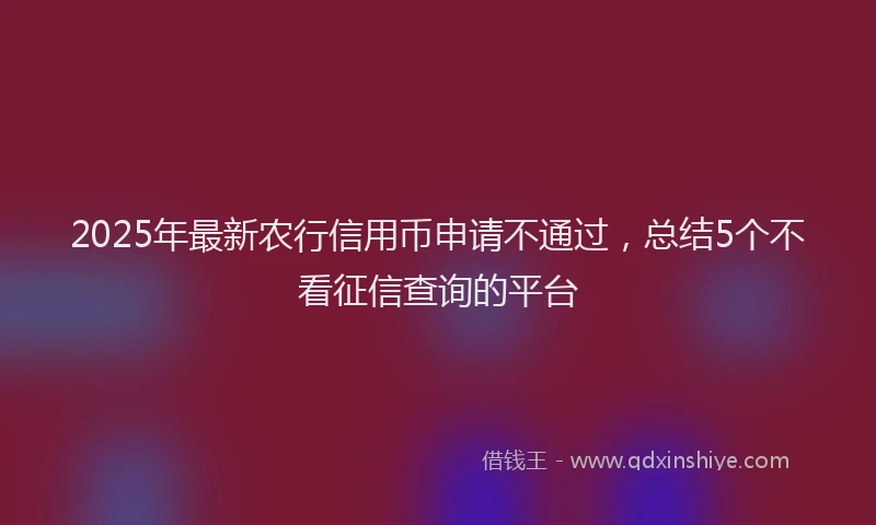 2025年最新农行信用币申请不通过，总结5个不看征信查询的平台