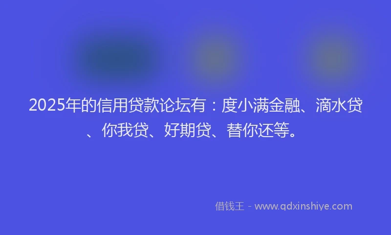 2025年的信用贷款论坛有：度小满金融、滴水贷、你我贷、好期贷、替你还等。