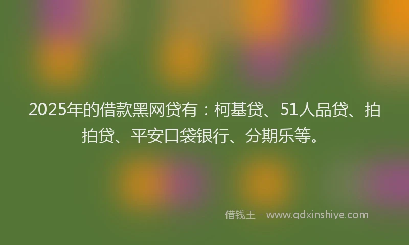 2025年的借款黑网贷有：柯基贷、51人品贷、拍拍贷、平安口袋银行、分期乐等。