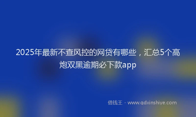 2025年最新不查风控的网贷有哪些，汇总5个高炮双黑逾期必下款app
