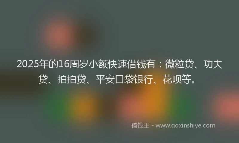 2025年的16周岁小额快速借钱有：微粒贷、功夫贷、拍拍贷、平安口袋银行、花呗等。