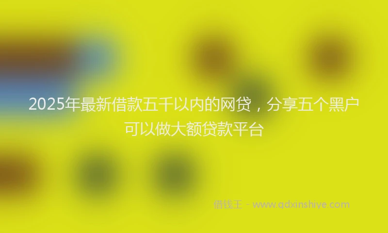 2025年最新借款五千以内的网贷，分享五个黑户可以做大额贷款平台
