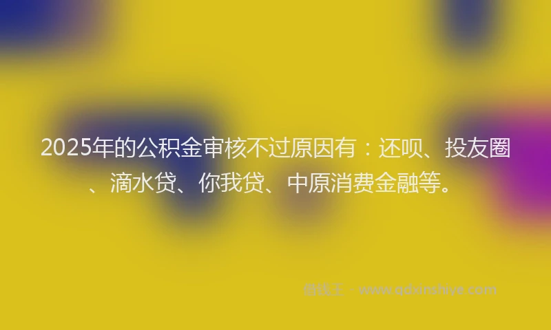 2025年的公积金审核不过原因有：还呗、投友圈、滴水贷、你我贷、中原消费金融等。